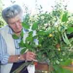 Eva Aschenbrenner Todesursache