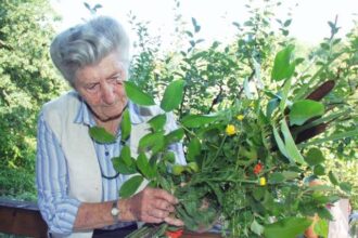 Eva Aschenbrenner Todesursache