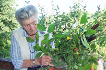Eva Aschenbrenner Todesursache