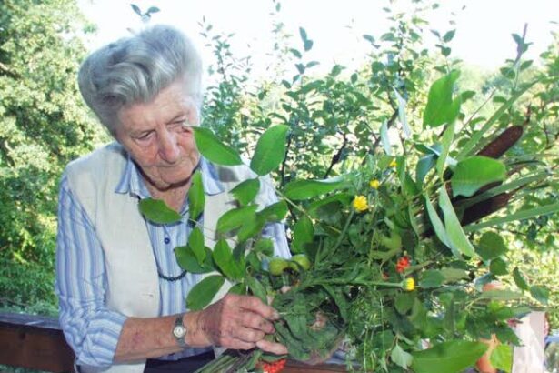 Eva Aschenbrenner Todesursache